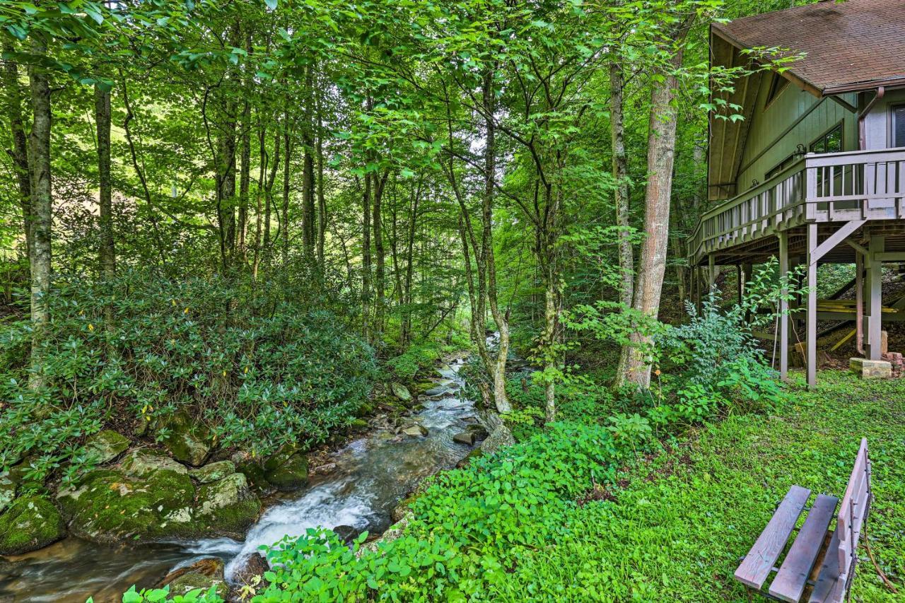 Creekside Roan Mountain Cabin Walk To Trails Exterior photo